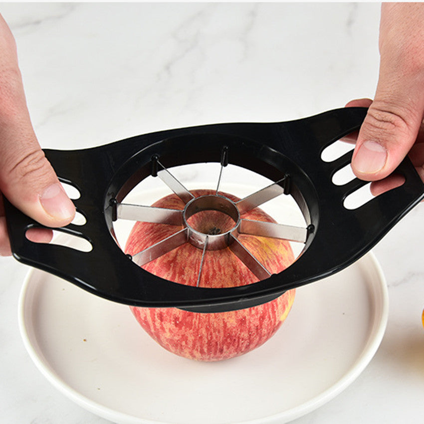 Stainless Steel Apple Slicer & Fruit Cutter